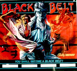Flippers vitre Black Belt 